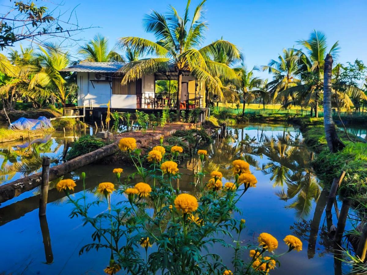 Thomman'S Farm Stay Kottayam Zewnętrze zdjęcie