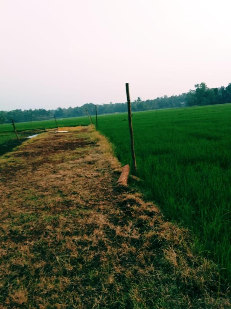 Thomman'S Farm Stay Kottayam Zewnętrze zdjęcie
